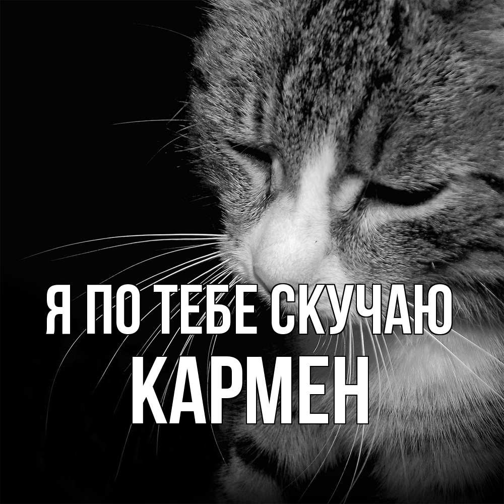 Открытка на каждый день с именем, Кармен Я по тебе скучаю мне скучно Прикольная открытка с пожеланием онлайн скачать бесплатно 