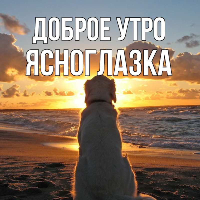 Картинка Доброе утро, ясноглазка