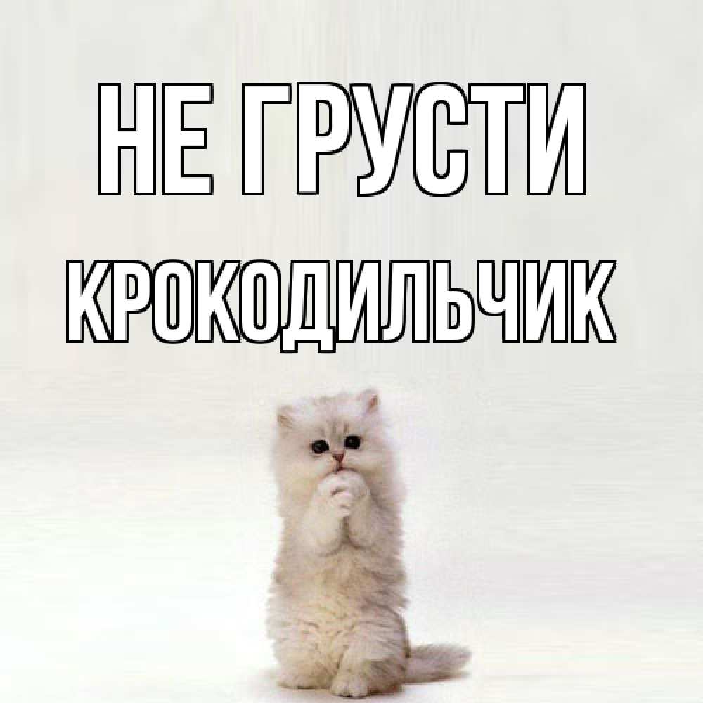 Открытка на каждый день с именем, Крокодильчик Не грусти грустный кот Прикольная открытка с пожеланием онлайн скачать бесплатно 