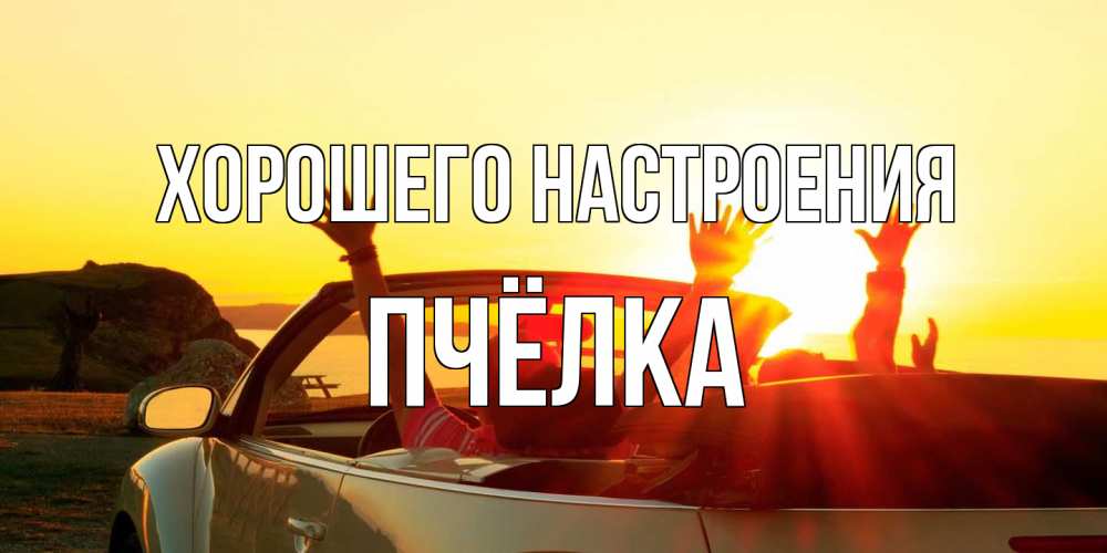 Открытка на каждый день с именем, Пчёлка Хорошего настроения фото счастливые люди в хорошем настроении Прикольная открытка с пожеланием онлайн скачать бесплатно 