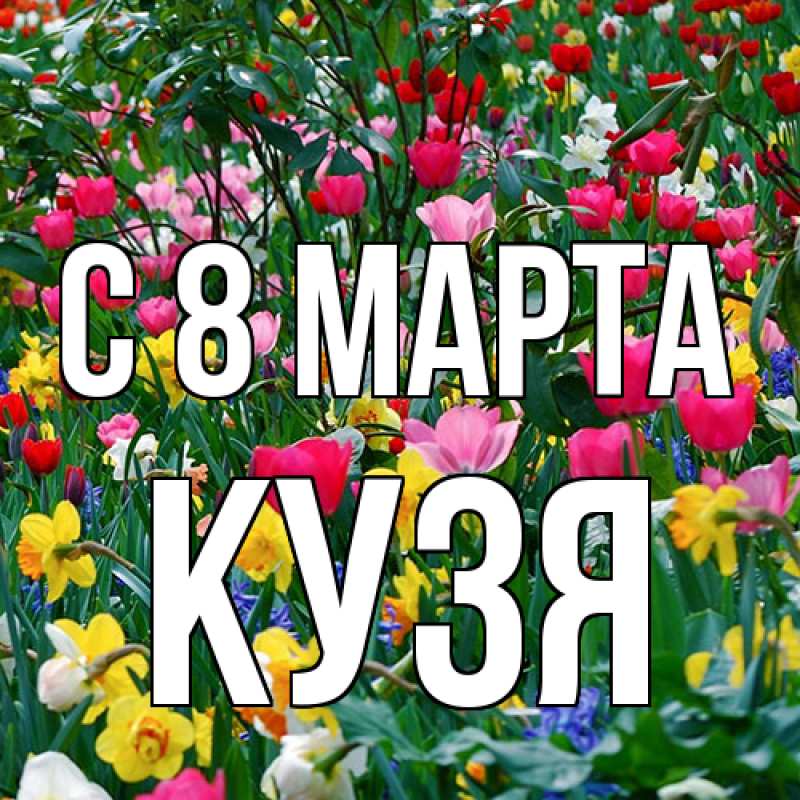 Картинка C 8 МАРТА, Кузя