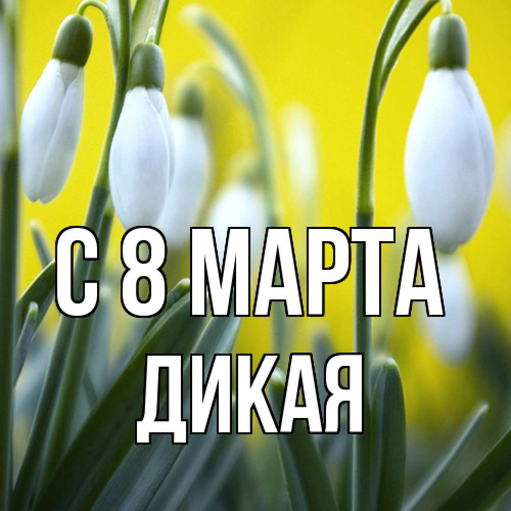 Открытка на каждый день с именем, дикая C 8 МАРТА весенние цветы Прикольная открытка с пожеланием онлайн скачать бесплатно 