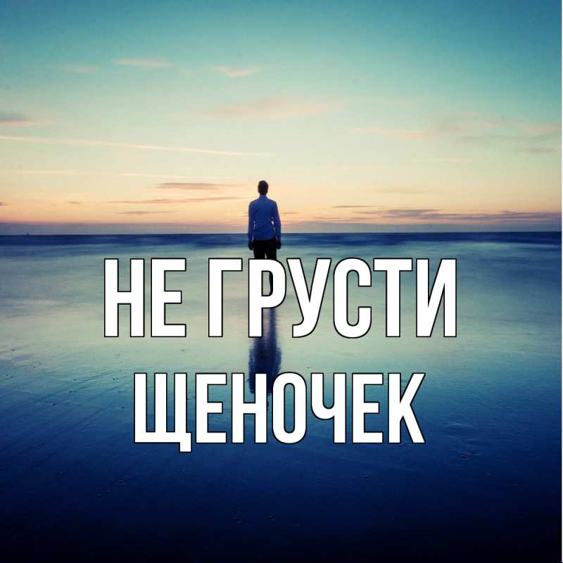 Картинка Не грусти, Щеночек