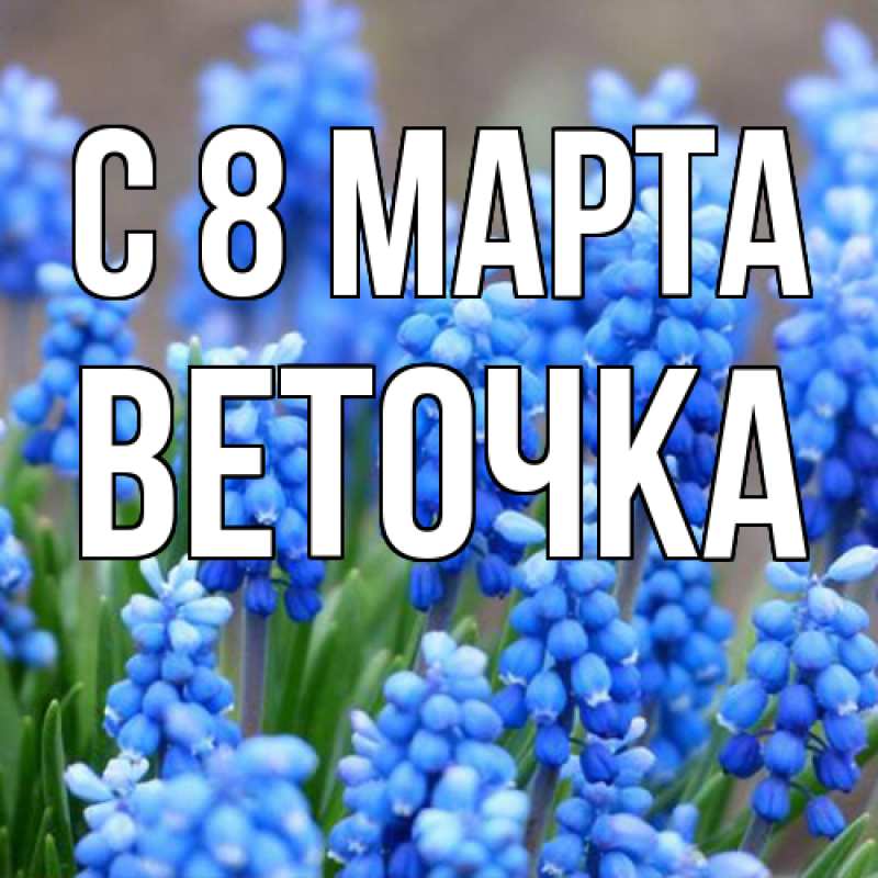Картинка C 8 МАРТА, Веточка
