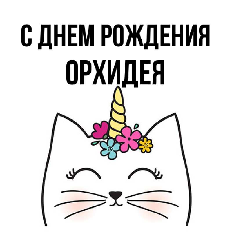 Картинка С днем рождения, Орхидея