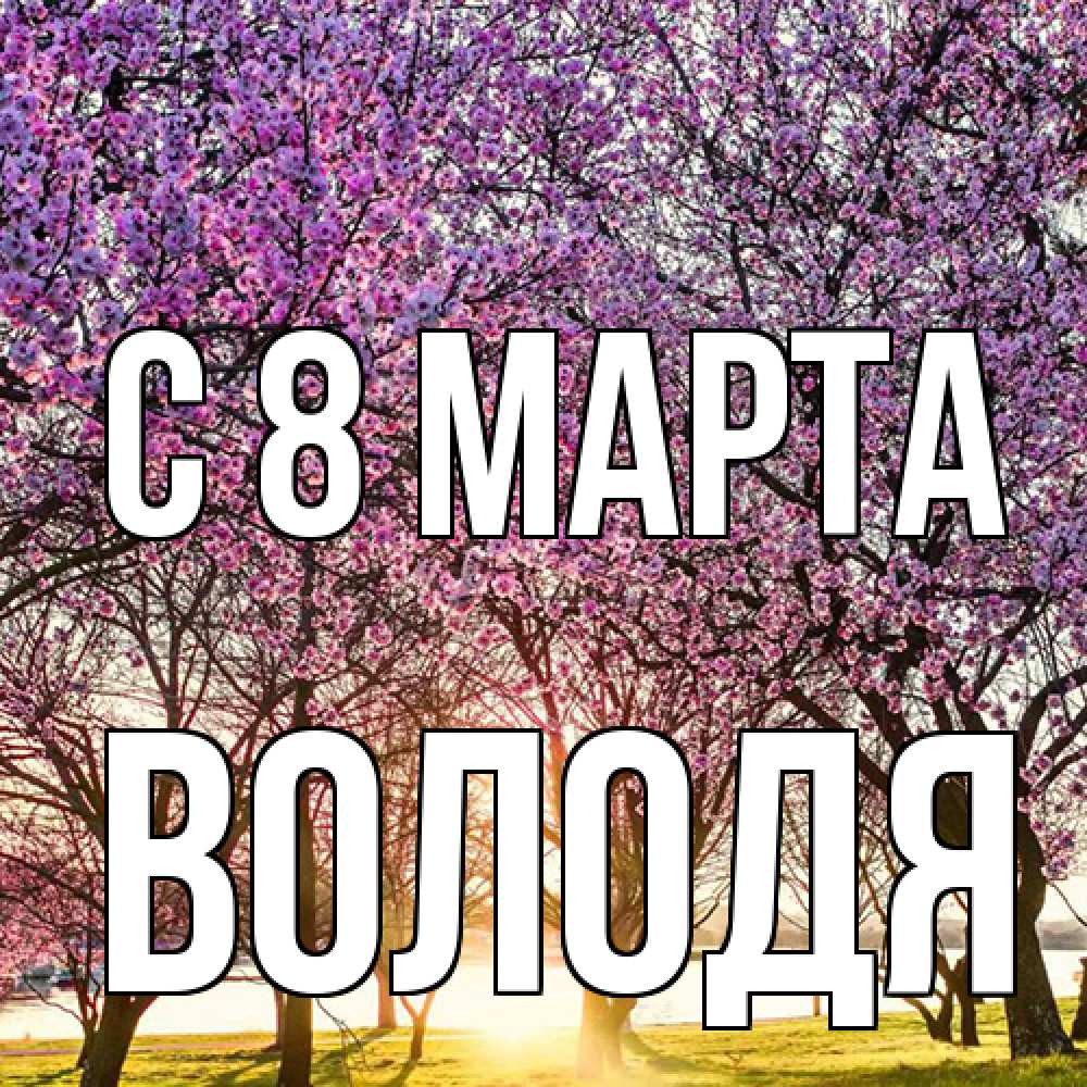 Открытка на каждый день с именем, Володя C 8 МАРТА международный женский день Прикольная открытка с пожеланием онлайн скачать бесплатно 