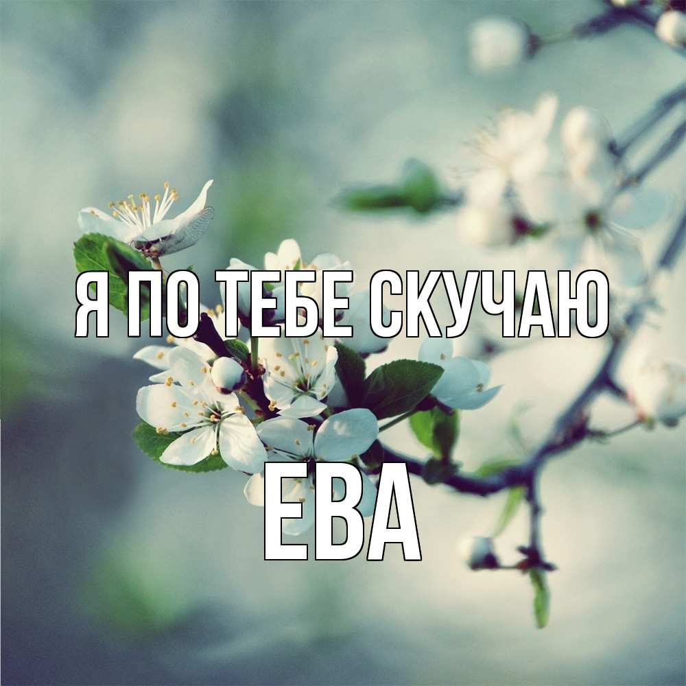 Открытка на каждый день с именем, Ева Я по тебе скучаю весна Прикольная открытка с пожеланием онлайн скачать бесплатно 