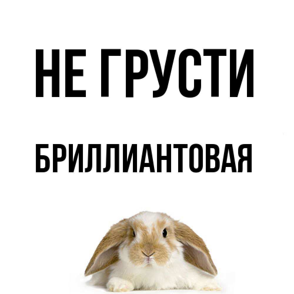 Открытка на каждый день с именем, Бpиллиантовая Не грусти коричнево белый заяц с большими ушками Прикольная открытка с пожеланием онлайн скачать бесплатно 
