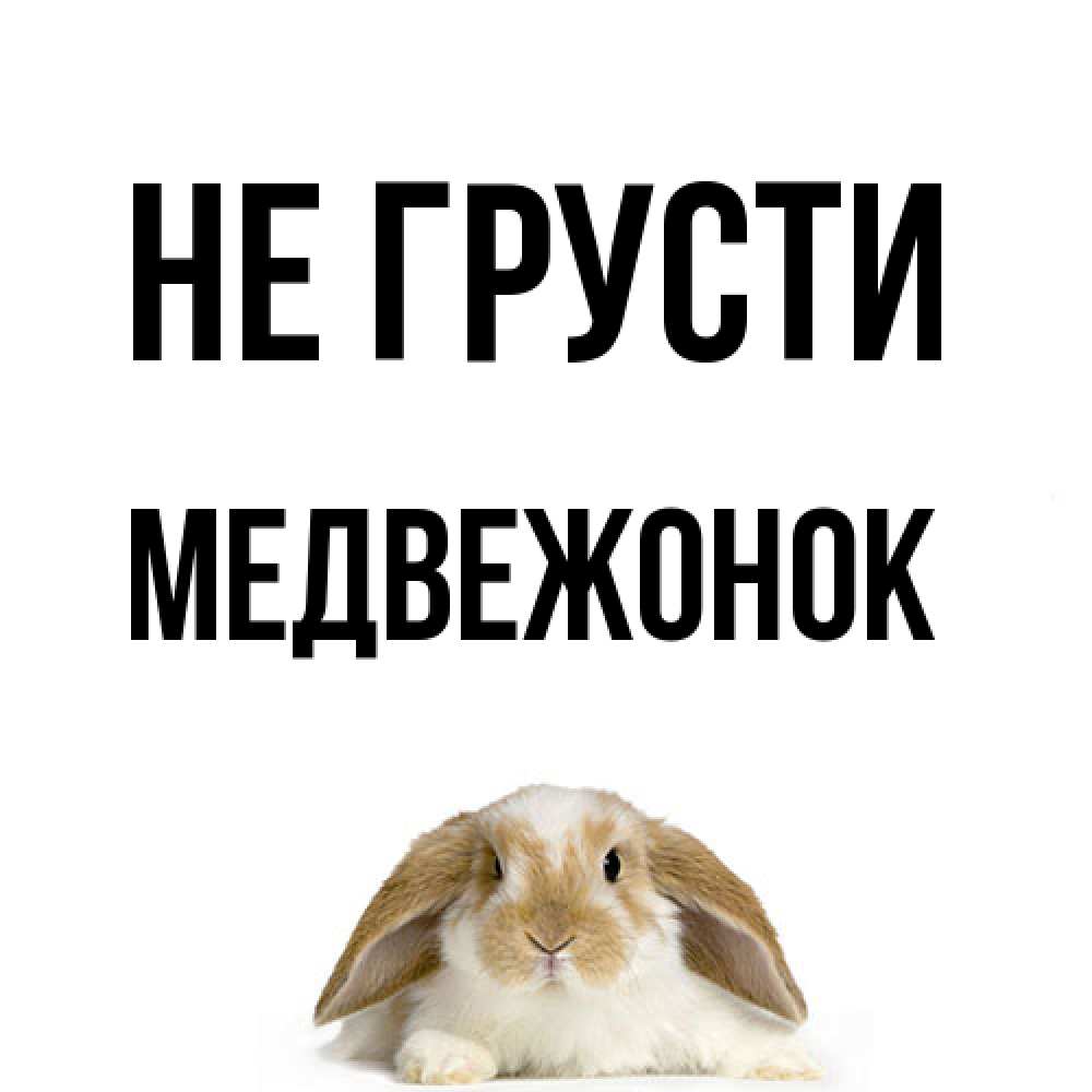 Открытка на каждый день с именем, медвежонок Не грусти коричнево белый заяц с большими ушками Прикольная открытка с пожеланием онлайн скачать бесплатно 
