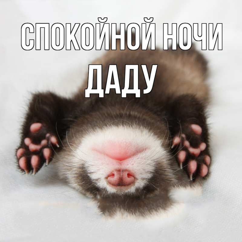 Картинка Спокойной ночи, Даду