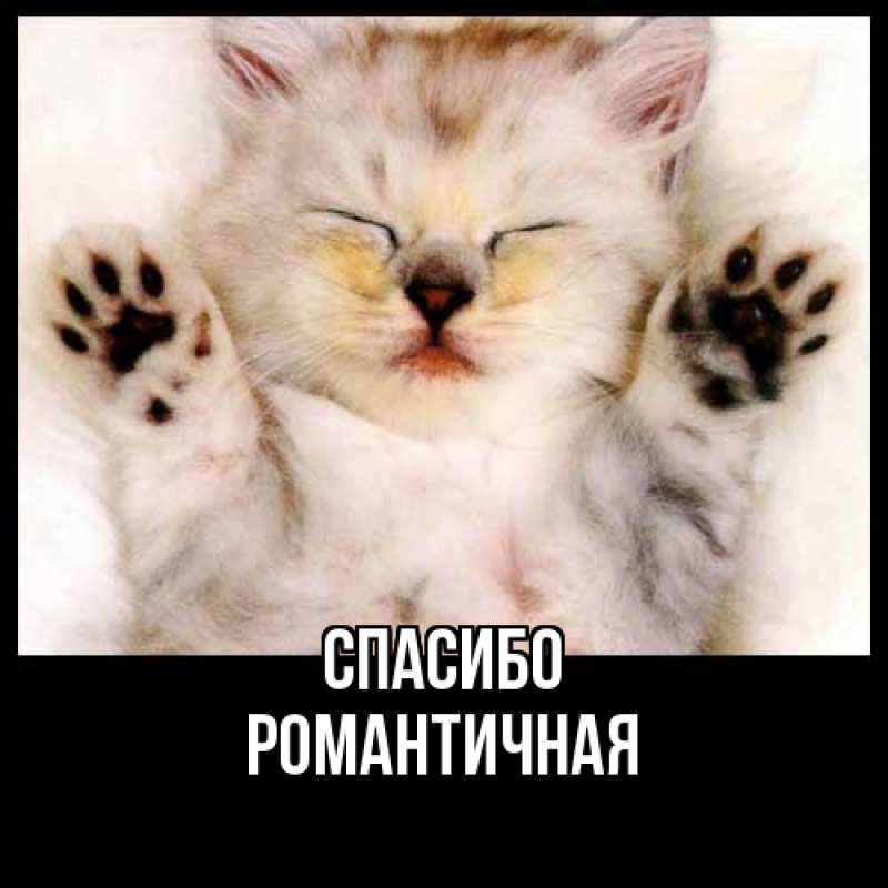 Картинка Спасибо, Романтичная