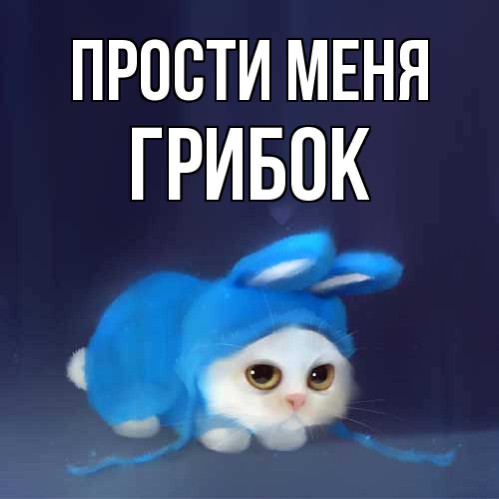Открытка на каждый день с именем, Грибок Прости меня невинный котозай просит прощения Прикольная открытка с пожеланием онлайн скачать бесплатно 