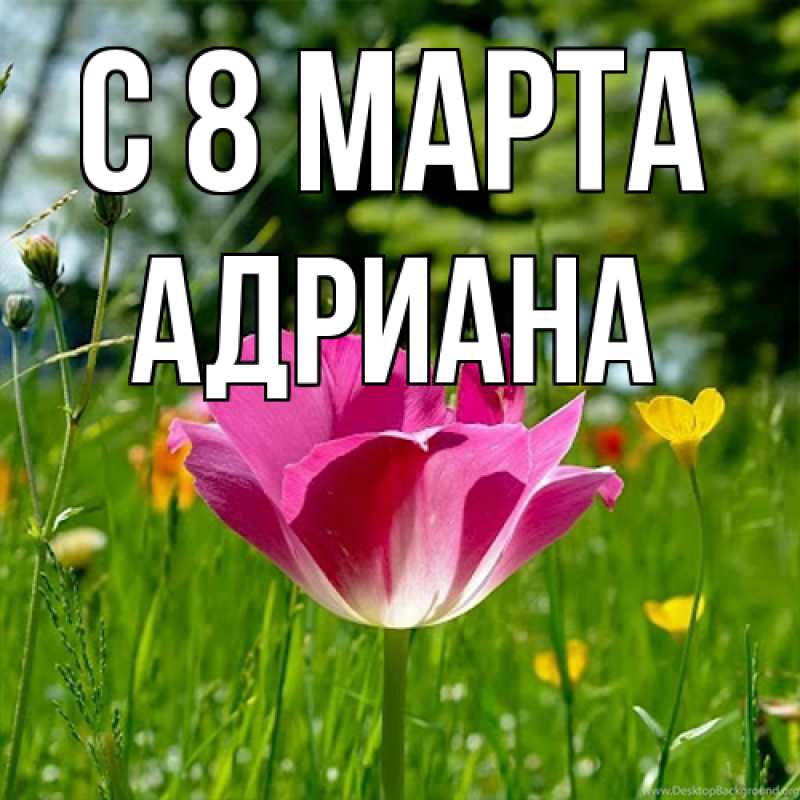 Картинка C 8 МАРТА, Адриана