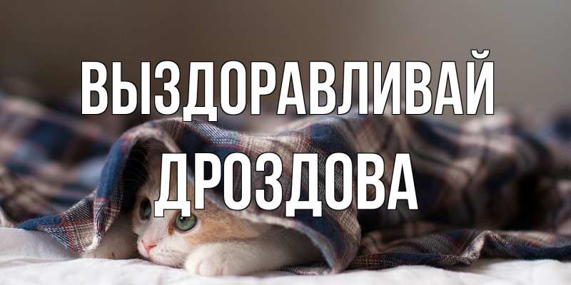 Картинка Выздоравливай, Дроздова