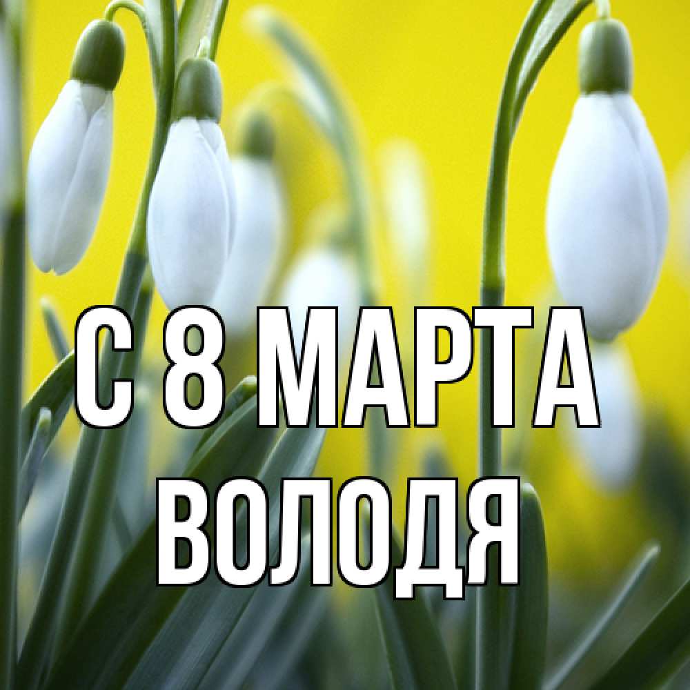 Открытка на каждый день с именем, Володя C 8 МАРТА весенние цветы Прикольная открытка с пожеланием онлайн скачать бесплатно 