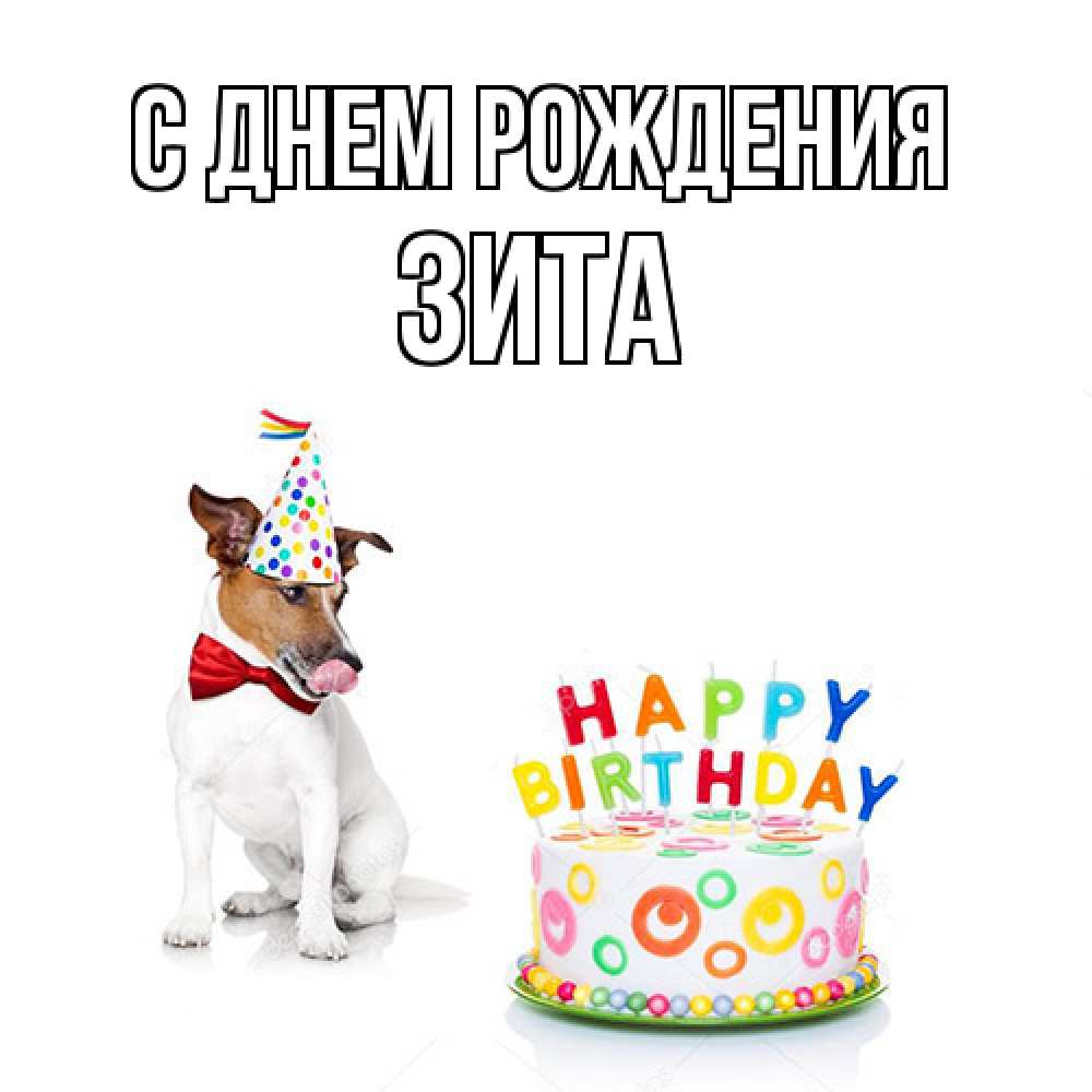 Открытка на каждый день с именем, Зита С днем рождения праздник Прикольная открытка с пожеланием онлайн скачать бесплатно 
