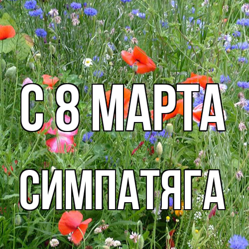 Открытка на каждый день с именем, Симпатяга C 8 МАРТА международный женский день 4 Прикольная открытка с пожеланием онлайн скачать бесплатно 