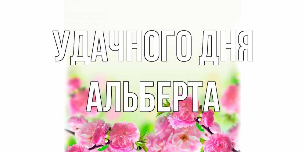 Открытка на каждый день с именем, Альберта Удачного дня цветы Прикольная открытка с пожеланием онлайн скачать бесплатно 