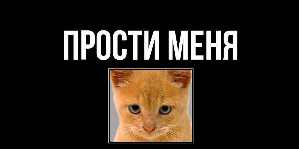 Открытка на каждый день с именем, открытка-бесплатно Прости меня рыжий грустный кот просит прощения Прикольная открытка с пожеланием онлайн скачать бесплатно 