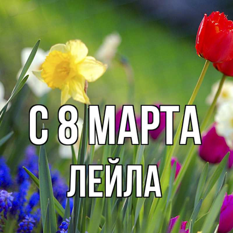Картинка C 8 МАРТА, Лейла