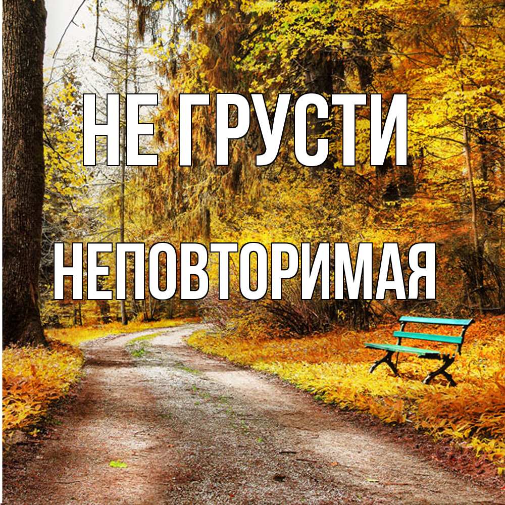Открытка на каждый день с именем, Неповторимая Не грусти зеленая лавочка Прикольная открытка с пожеланием онлайн скачать бесплатно 