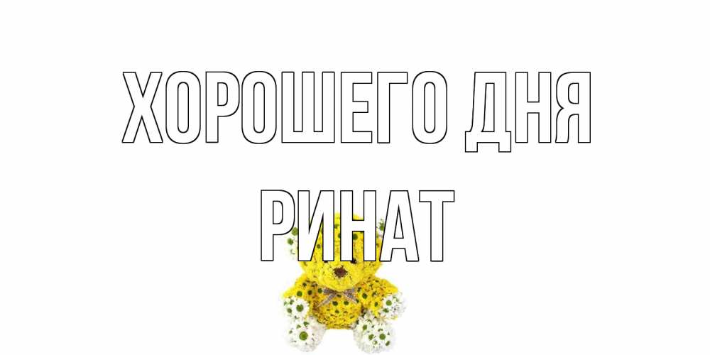 Открытка на каждый день с именем, Ринат Хорошего дня позитивного настроения вам Прикольная открытка с пожеланием онлайн скачать бесплатно 