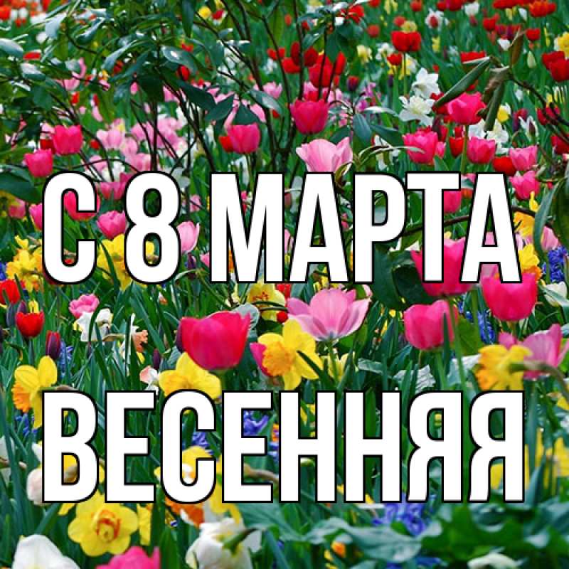 Картинка C 8 МАРТА, Весенняя