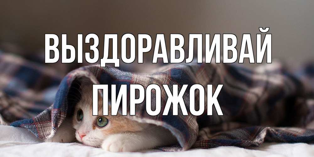 Открытка на каждый день с именем, пирожок Выздоравливай не болейте с котиком Прикольная открытка с пожеланием онлайн скачать бесплатно 