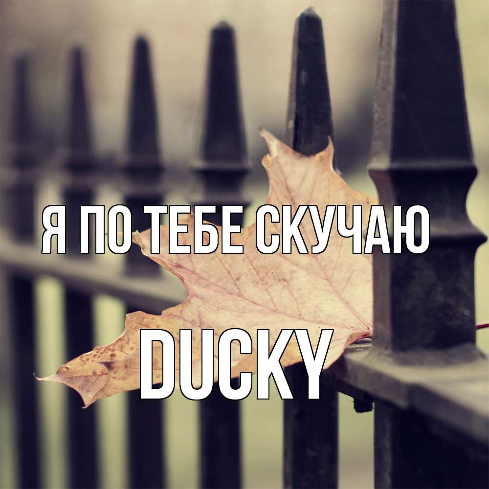 Открытка на каждый день с именем, Ducky Я по тебе скучаю очень скучно Прикольная открытка с пожеланием онлайн скачать бесплатно 