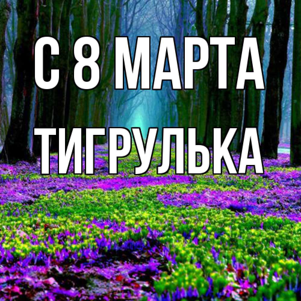 Открытка на каждый день с именем, тигрулька C 8 МАРТА фиолетовые цветы в лесу 1 Прикольная открытка с пожеланием онлайн скачать бесплатно 