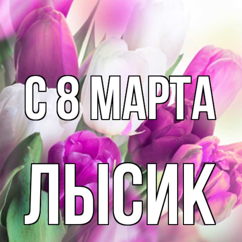 Картинка C 8 МАРТА, Лысик