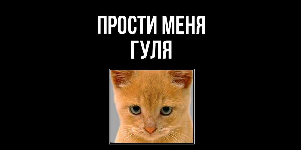 Открытка на каждый день с именем, Гуля Прости меня рыжий грустный кот просит прощения Прикольная открытка с пожеланием онлайн скачать бесплатно 
