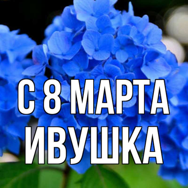 Картинка C 8 МАРТА, Ивушка