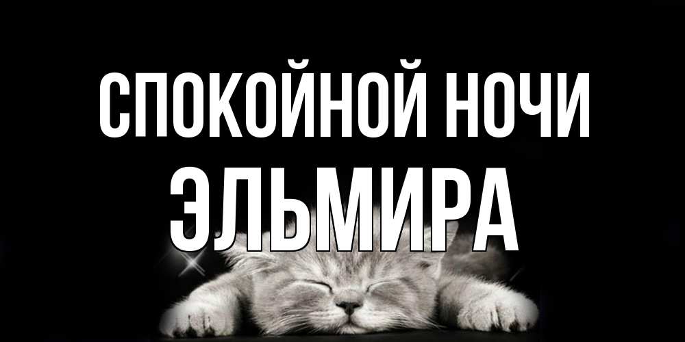 Открытка на каждый день с именем, Эльмира Спокойной ночи спящий котик Прикольная открытка с пожеланием онлайн скачать бесплатно 