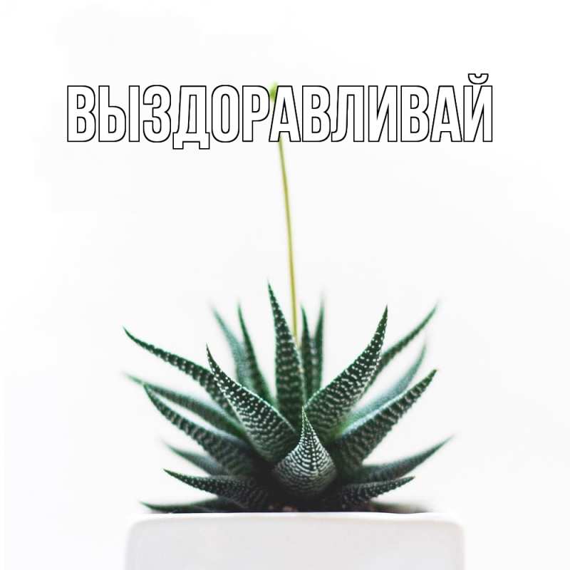 Картинка Выздоравливай, 