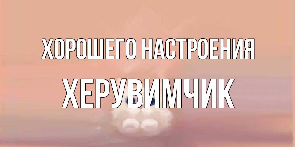 Открытка на каждый день с именем, Хеpувимчик Хорошего настроения кошка Прикольная открытка с пожеланием онлайн скачать бесплатно 