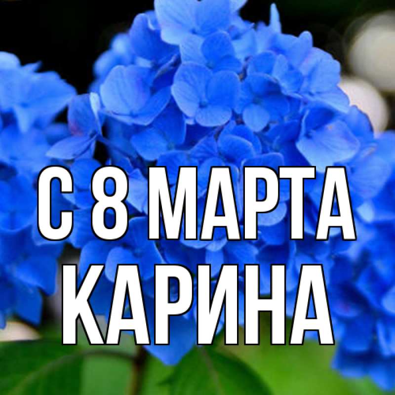 Картинка C 8 МАРТА, Карина