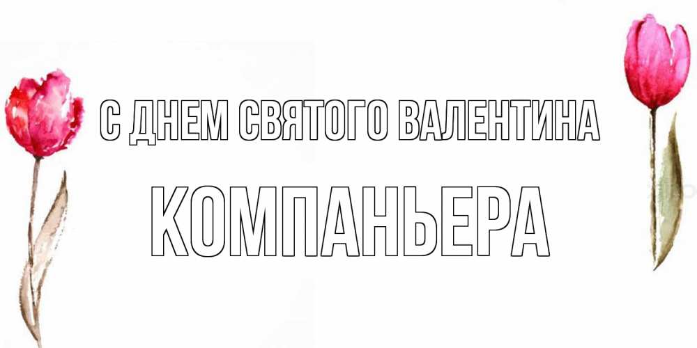Открытка на каждый день с именем, Компаньера С днем Святого Валентина Открытки на день всех влюбленных с тюльпанами акварелью Прикольная открытка с пожеланием онлайн скачать бесплатно 