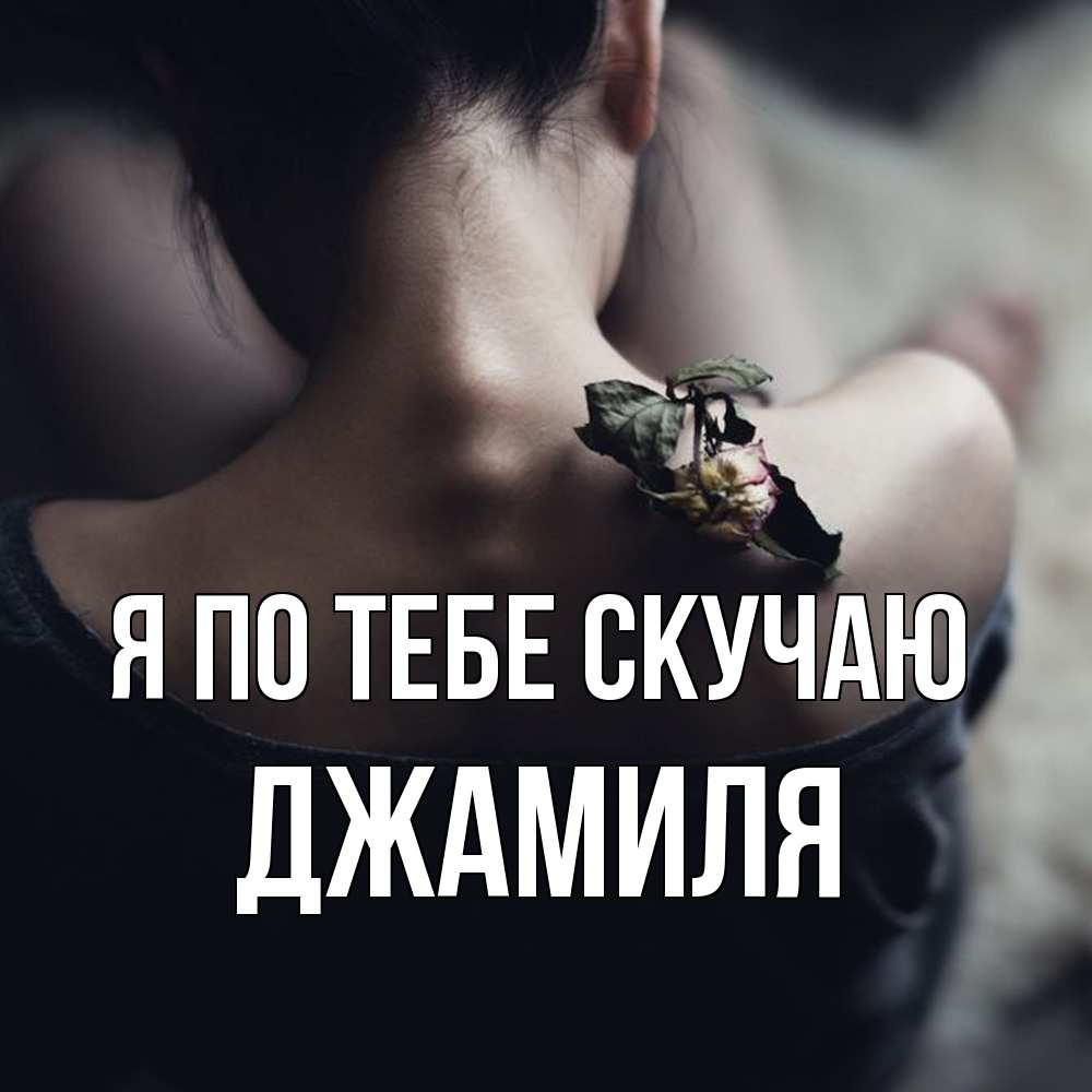 Открытка на каждый день с именем, Джамиля Я по тебе скучаю засох цветок Прикольная открытка с пожеланием онлайн скачать бесплатно 