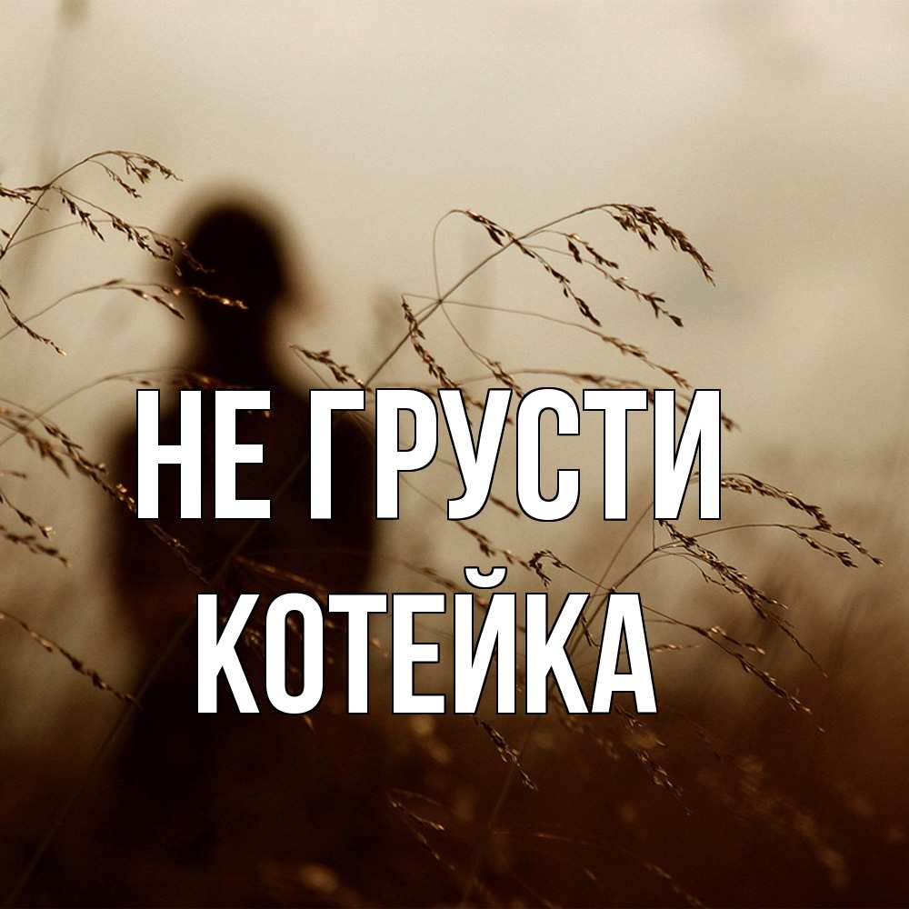 Открытка на каждый день с именем, Котейка Не грусти грусть Прикольная открытка с пожеланием онлайн скачать бесплатно 