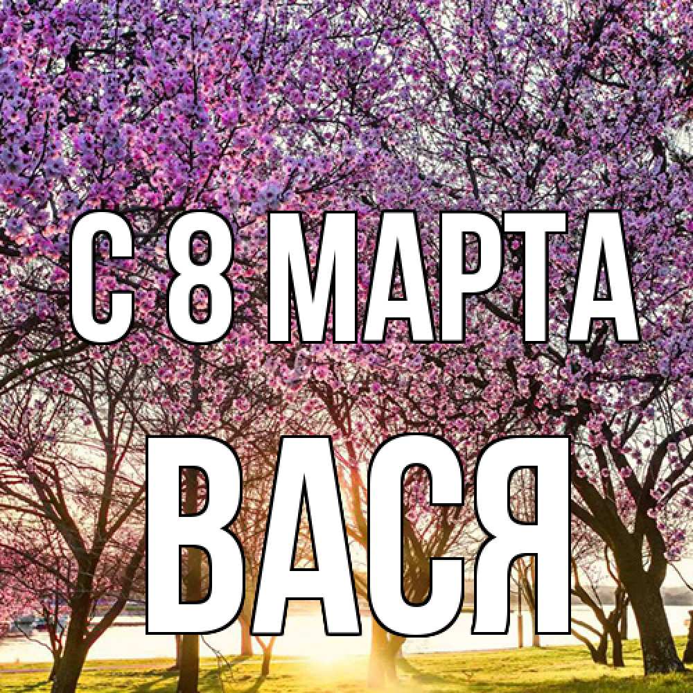 Открытка на каждый день с именем, Вася C 8 МАРТА международный женский день Прикольная открытка с пожеланием онлайн скачать бесплатно 