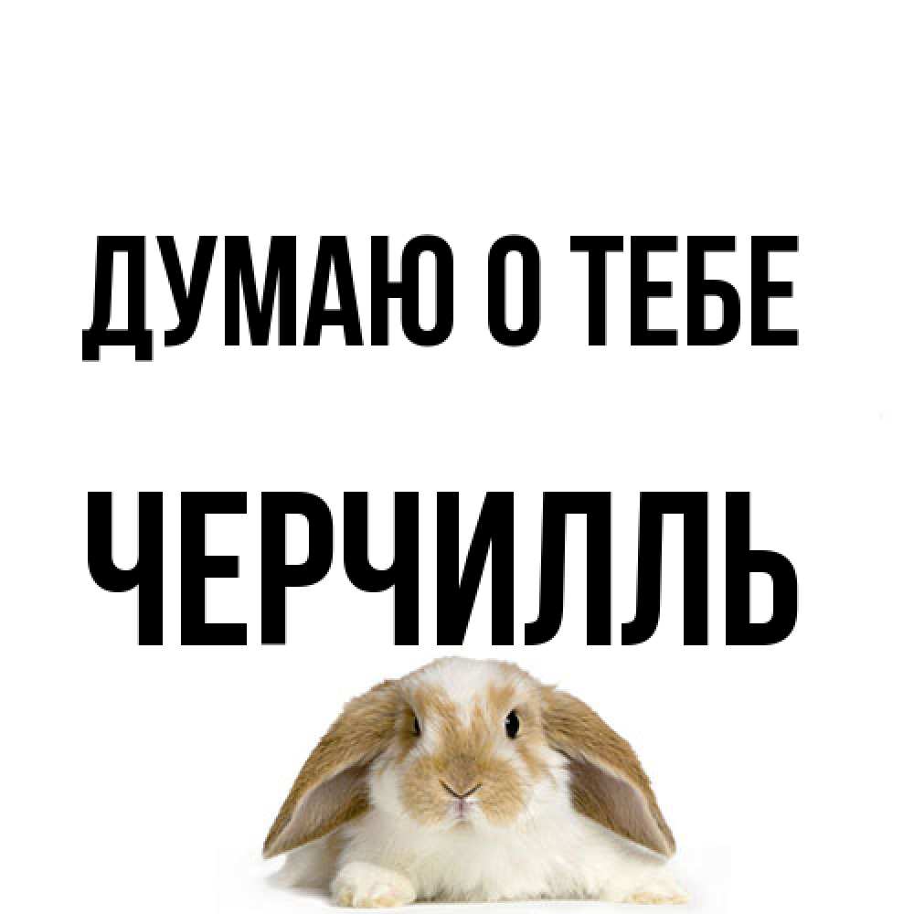 Открытка на каждый день с именем, Черчилль Думаю о тебе подписать своими руками онлайн Прикольная открытка с пожеланием онлайн скачать бесплатно 