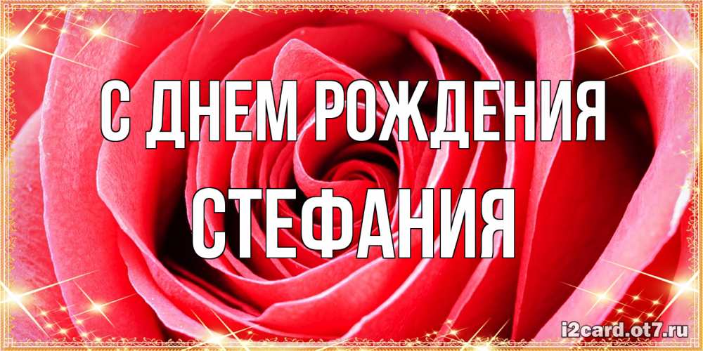 Открытка на каждый день с именем, Стефания С днем рождения розовая роза очень крупный бутон Прикольная открытка с пожеланием онлайн скачать бесплатно 