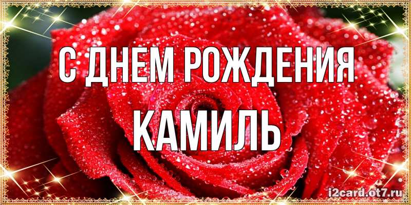 Картинка С днем рождения, Камиль