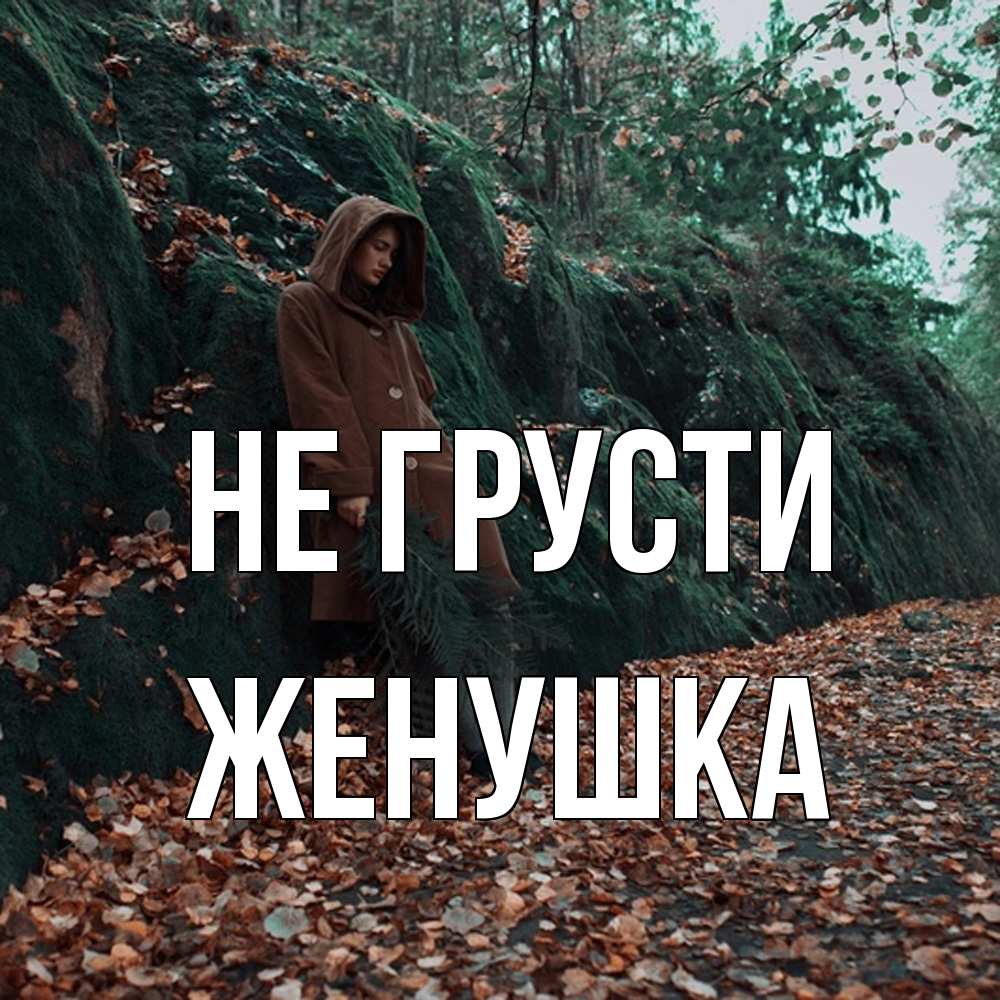 Открытка на каждый день с именем, женушка Не грусти осенний лес Прикольная открытка с пожеланием онлайн скачать бесплатно 