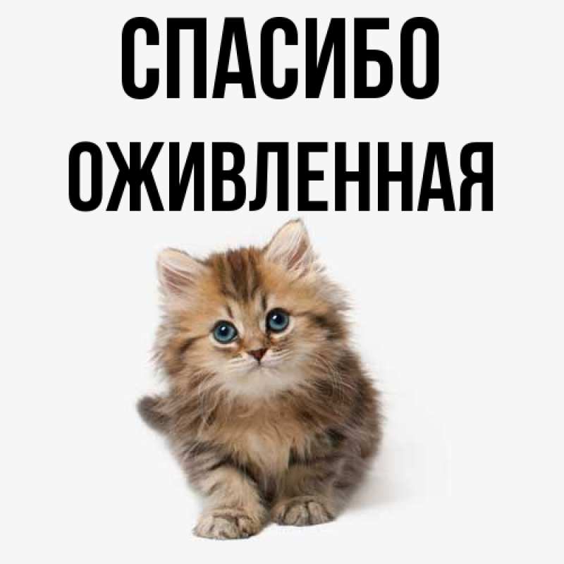 Картинка Спасибо, Оживленная