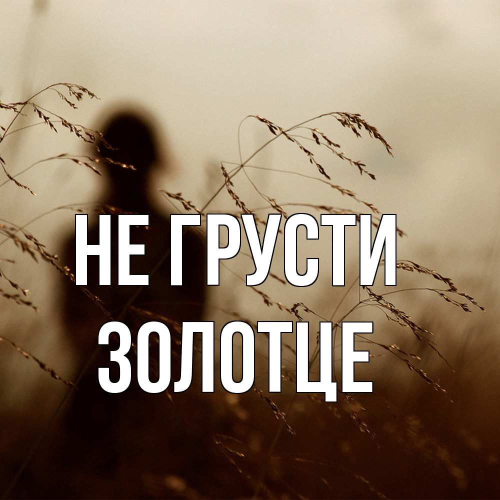 Открытка на каждый день с именем, Золотце Не грусти грусть Прикольная открытка с пожеланием онлайн скачать бесплатно 