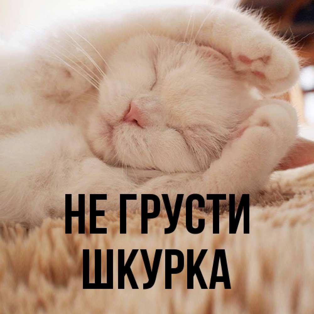Открытка на каждый день с именем, Шкурка Не грусти Котенок спит Прикольная открытка с пожеланием онлайн скачать бесплатно 