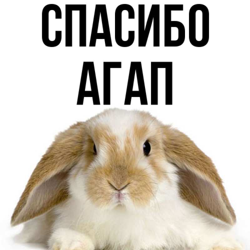 Картинка Спасибо, Агап