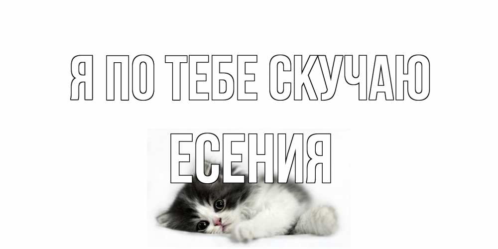 Открытка на каждый день с именем, Есения Я по тебе скучаю кот, скука Прикольная открытка с пожеланием онлайн скачать бесплатно 